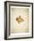 Maple leaf on yellowed paper, beige-Axel Killian-Framed Photographic Print