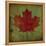 Maple Leaf-Ryan Fowler-Framed Stretched Canvas