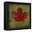 Maple Leaf-Ryan Fowler-Framed Stretched Canvas