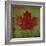 Maple Leaf-Ryan Fowler-Framed Art Print