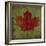 Maple Leaf-Ryan Fowler-Framed Art Print