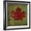 Maple Leaf-Ryan Fowler-Framed Art Print