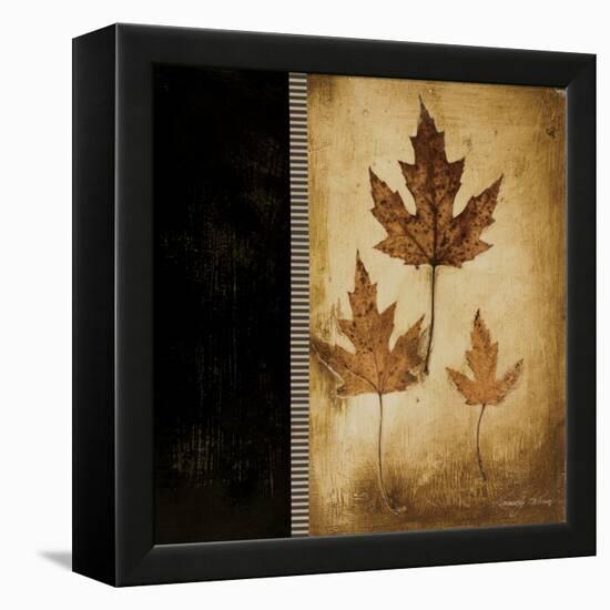 Maple Leaves 3-Kimberly Poloson-Framed Stretched Canvas
