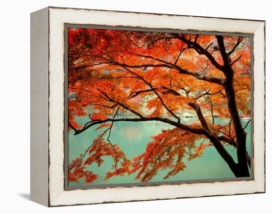 Maple Leaves, Arashi-Yama, Kyoto, Japan-null-Framed Premier Image Canvas