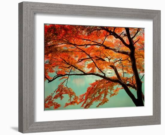 Maple Leaves, Arashi-Yama, Kyoto, Japan-null-Framed Photographic Print