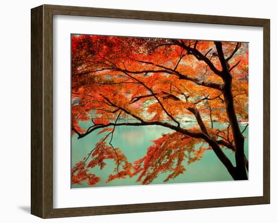 Maple Leaves, Arashi-Yama, Kyoto, Japan-null-Framed Photographic Print