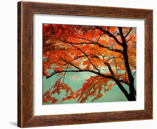 Maple Leaves, Arashi-Yama, Kyoto, Japan-null-Framed Photographic Print