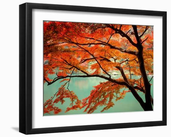 Maple Leaves, Arashi-Yama, Kyoto, Japan-null-Framed Photographic Print