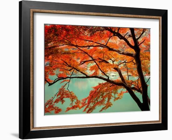 Maple Leaves, Arashi-Yama, Kyoto, Japan-null-Framed Photographic Print