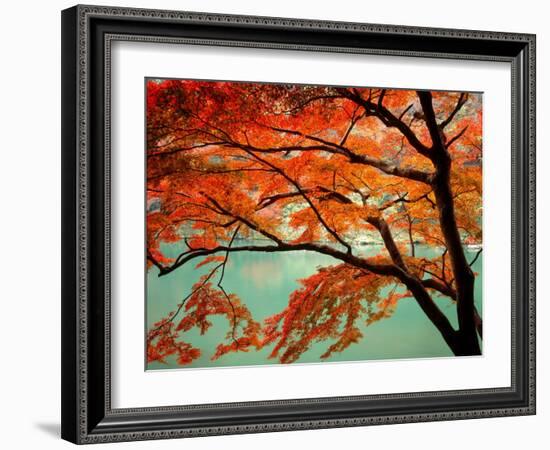 Maple Leaves, Arashi-Yama, Kyoto, Japan-null-Framed Photographic Print