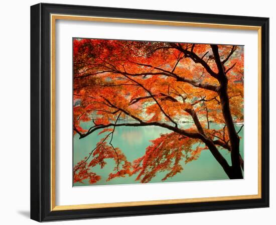 Maple Leaves, Arashi-Yama, Kyoto, Japan-null-Framed Photographic Print