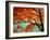 Maple Leaves, Arashi-Yama, Kyoto, Japan-null-Framed Photographic Print