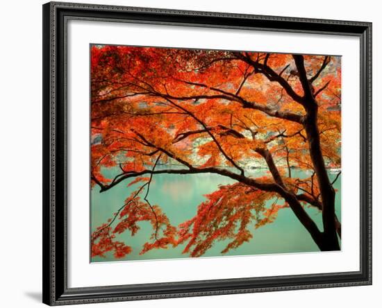 Maple Leaves, Arashi-Yama, Kyoto, Japan-null-Framed Photographic Print