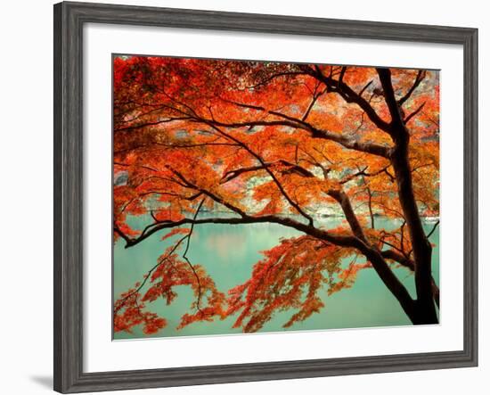 Maple Leaves, Arashi-Yama, Kyoto, Japan-null-Framed Photographic Print