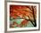 Maple Leaves, Arashi-Yama, Kyoto, Japan-null-Framed Photographic Print