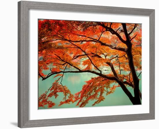 Maple Leaves, Arashi-Yama, Kyoto, Japan-null-Framed Photographic Print