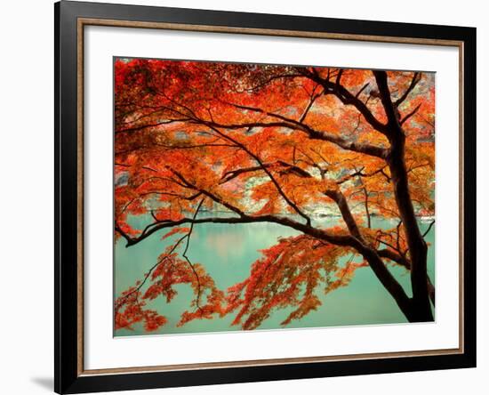 Maple Leaves, Arashi-Yama, Kyoto, Japan-null-Framed Photographic Print