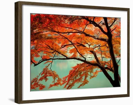 Maple Leaves, Arashi-Yama, Kyoto, Japan-null-Framed Photographic Print