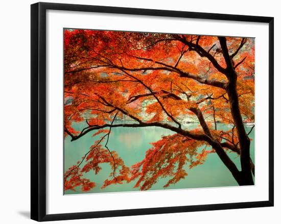 Maple Leaves, Arashi-Yama, Kyoto, Japan-null-Framed Photographic Print