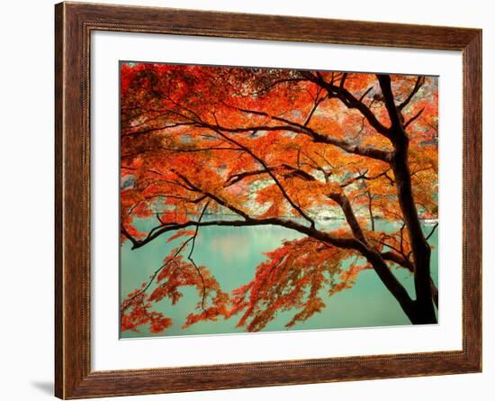 Maple Leaves, Arashi-Yama, Kyoto, Japan-null-Framed Photographic Print