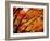 Maple Leaves, Hiuga Daijingu Shrine, Kyoto, Japan-null-Framed Photographic Print