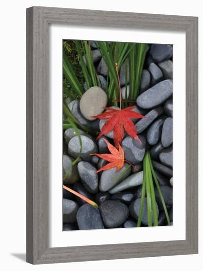 Maple Leaves I-Brian Moore-Framed Photographic Print