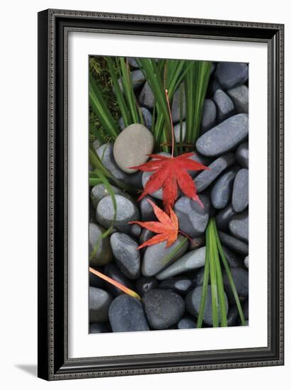 Maple Leaves I-Brian Moore-Framed Photographic Print