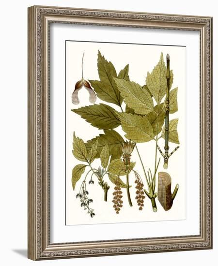 Maple Leaves I-null-Framed Art Print