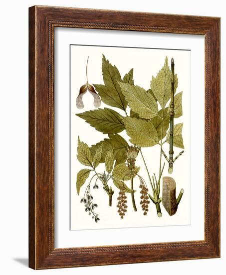 Maple Leaves I-null-Framed Art Print