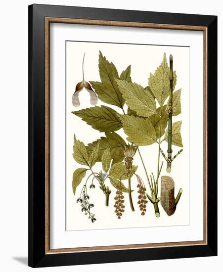 Maple Leaves I-null-Framed Art Print