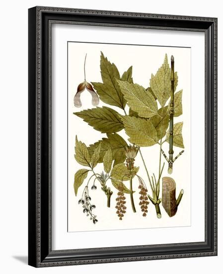 Maple Leaves I-null-Framed Art Print