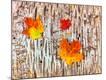 Premium Photographic Print