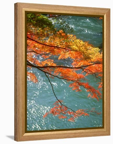 Maple Leaves Over River Uji-null-Framed Premier Image Canvas