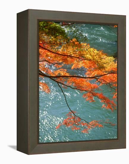 Maple Leaves Over River Uji-null-Framed Premier Image Canvas