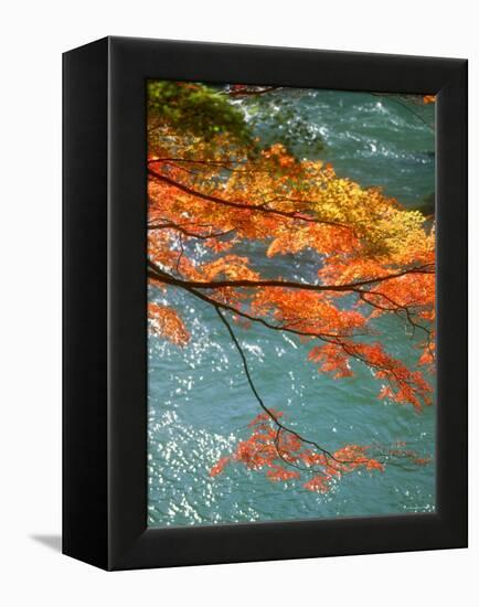 Maple Leaves Over River Uji-null-Framed Premier Image Canvas