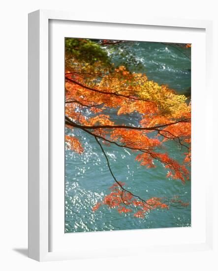 Maple Leaves Over River Uji-null-Framed Photographic Print