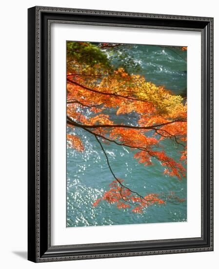 Maple Leaves Over River Uji-null-Framed Photographic Print