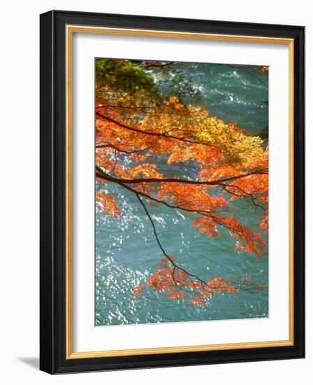 Maple Leaves Over River Uji-null-Framed Photographic Print