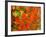 Maple Leaves-null-Framed Photographic Print