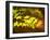 Maple Leaves-null-Framed Photographic Print