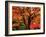 Maple Leaves-null-Framed Photographic Print