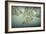 Maple Leaves-Kathy Mahan-Framed Photographic Print