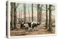 Stretched Canvas Print
