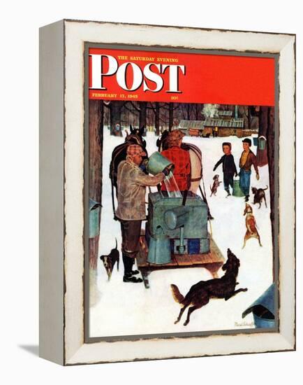 "Maple Syrup Time in Vermont," Saturday Evening Post Cover, February 17, 1945-Mead Schaeffer-Framed Premier Image Canvas