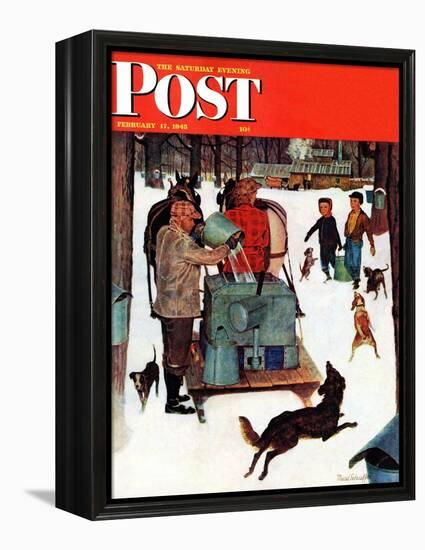 "Maple Syrup Time in Vermont," Saturday Evening Post Cover, February 17, 1945-Mead Schaeffer-Framed Premier Image Canvas