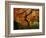 Maple Tree in Autumn-John McAnulty-Framed Photographic Print