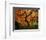 Maple Tree in Autumn-John McAnulty-Framed Photographic Print