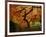 Maple Tree in Autumn-John McAnulty-Framed Photographic Print