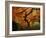 Maple Tree in Autumn-John McAnulty-Framed Photographic Print