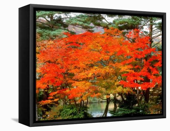 Maple Trees and a Pond-null-Framed Premier Image Canvas